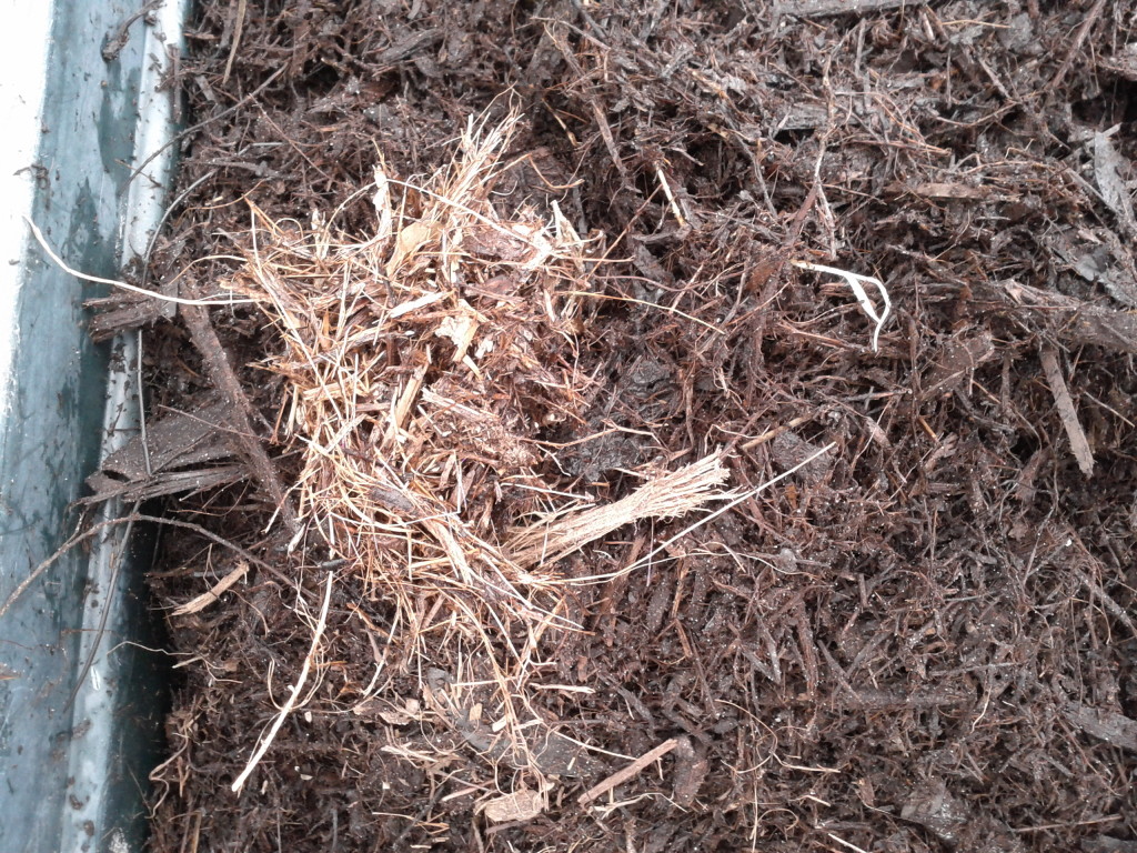 Original mulch vs finished compost